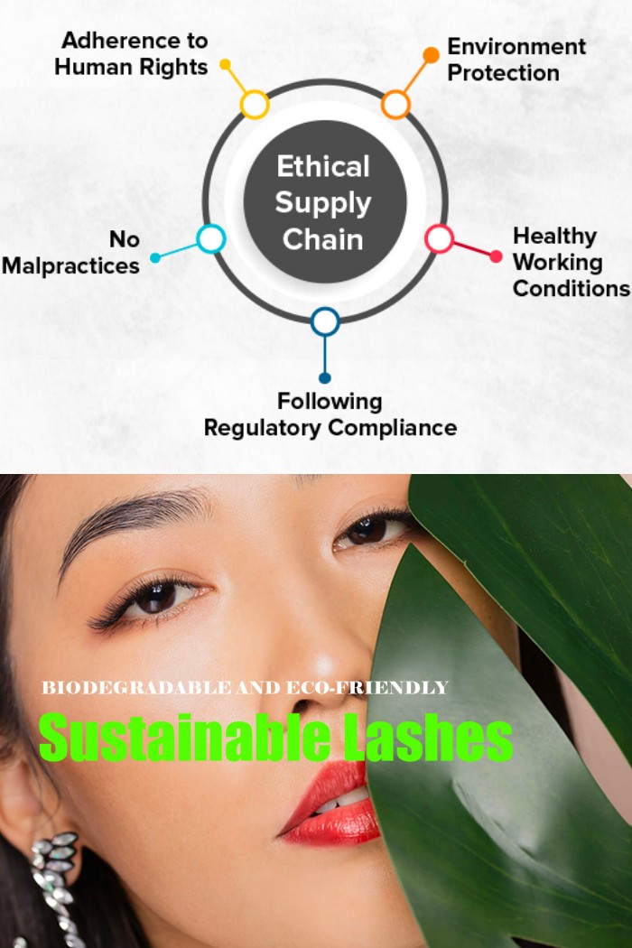 Ensuring Ethical Practices in the Sustainable Lashes Supply Chain