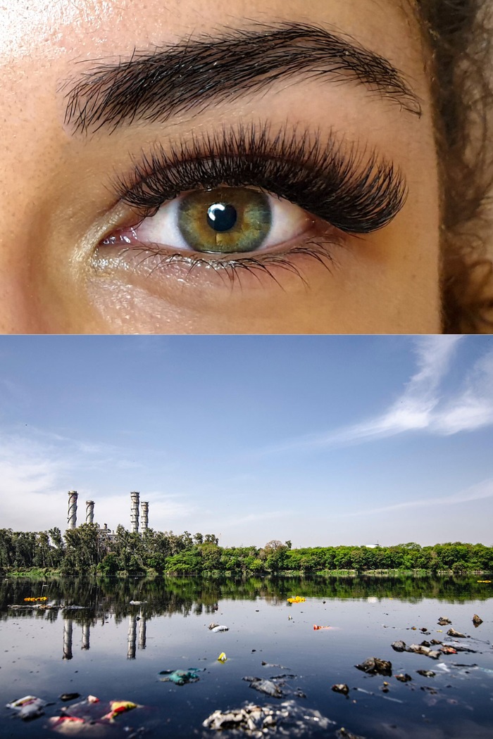 an-ultimate-guide-to-sustainable-mink-lashes-sourcing-for-lash-salons-1