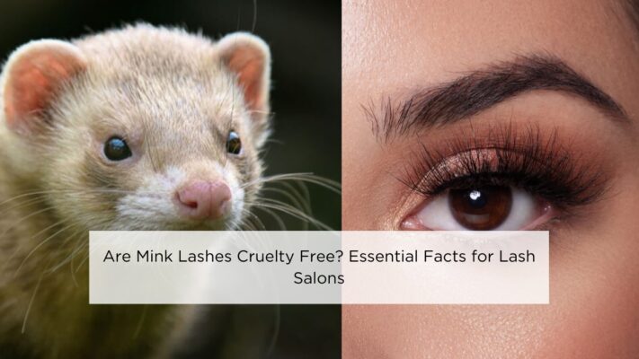 are-mink-lashes-cruelty-free-essential-facts-for-lash-salons