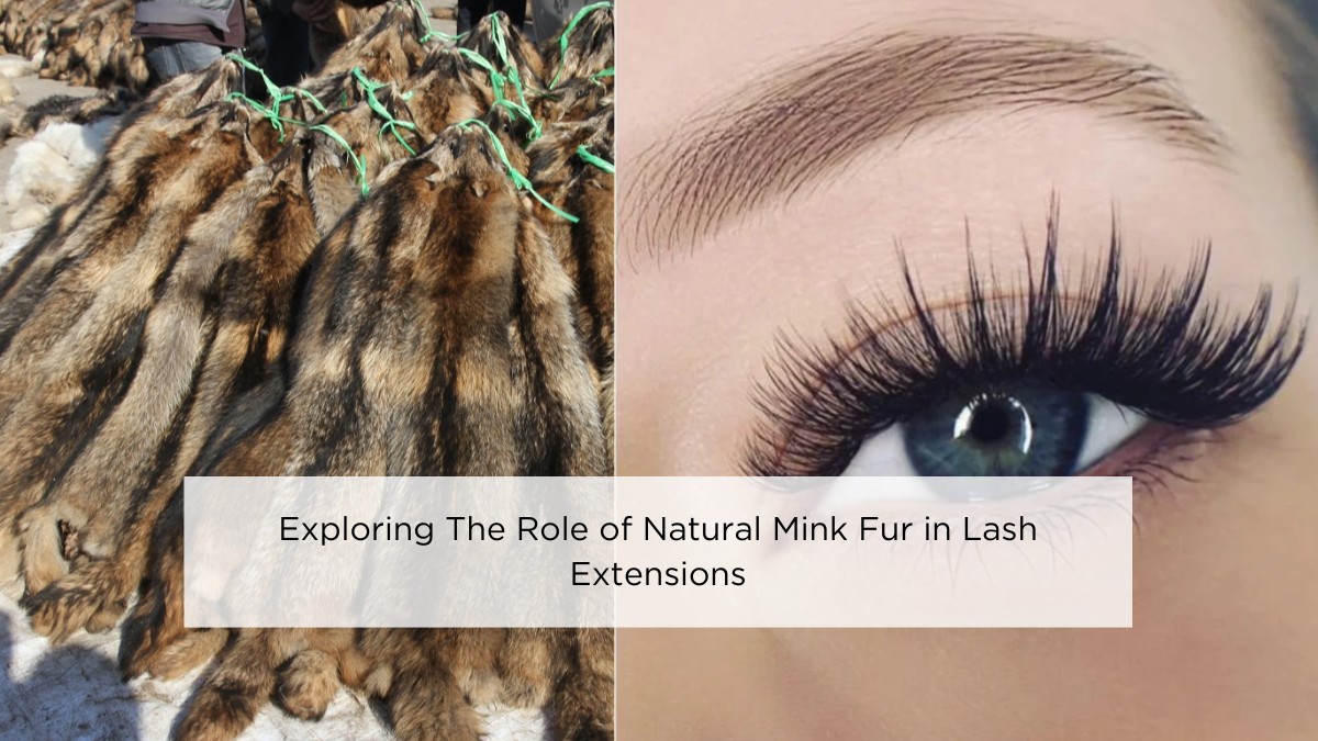 exploring-the-role-of-natural-mink-fur-in-lash-extensions
