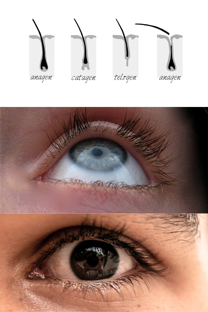 volume-lash-maintenance-tips-and-troubleshooting-for-durable-eyelash-extensions-5