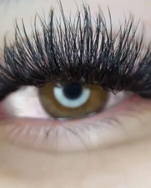3D to 20D Pre-made Fan Lash Extensions Wispy lashes RL009-1