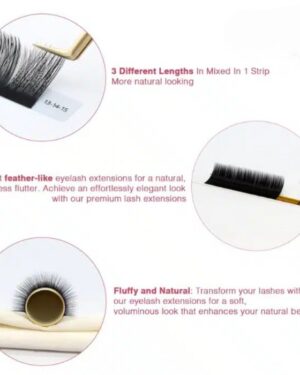 Camellia eyelash extensions two-toned 16 lines RL107-2