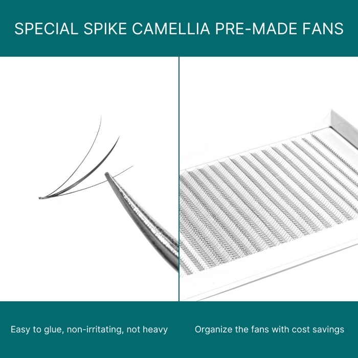 Special spike camellia pre-made fans box L 20 lines single-color RL101-1