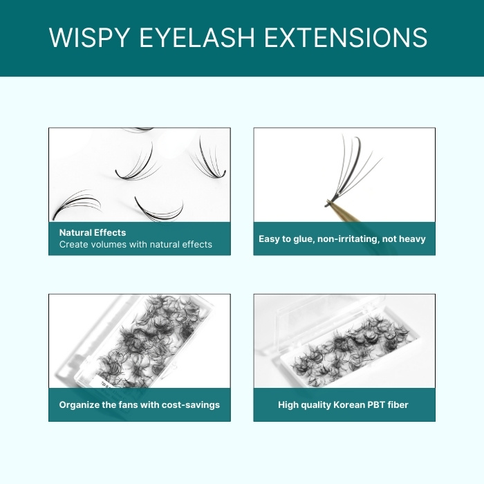 Wispy eyelash extensions mix 8 compartments single-color RL069-1