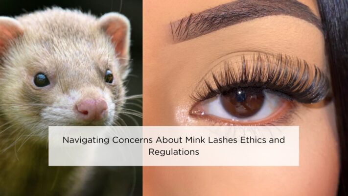 navigating-concerns-about-mink-lashes-ethics-and-regulations