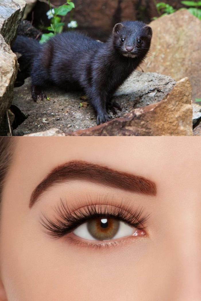 discover-what-are-faux-mink-lashes-made-of-and-their-ethical-crafting-process-2