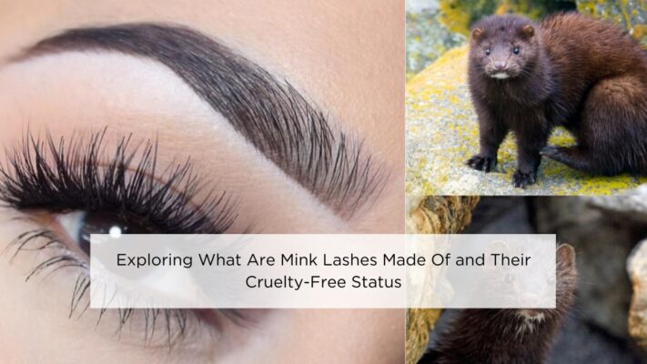 exploring-what-are-mink-lashes-made-of-and-their-cruelty-free-status